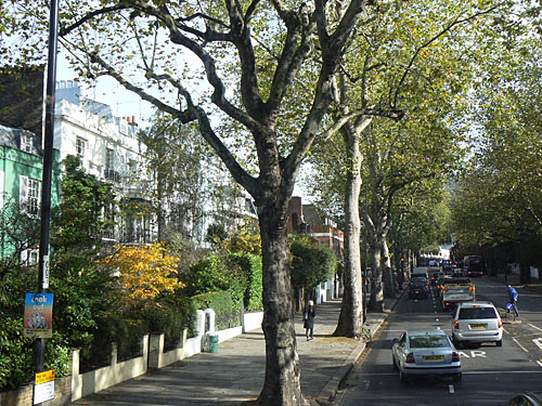 Holland road.jpg