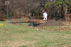 mom and dads garden - spreading c0mpost 019