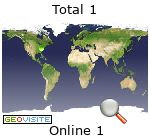analisi dell'audience Internet