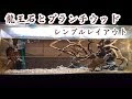 [新しいコレクション] 水槽 レイアウト シンプル 350628-ベタ 水槽 レイアウト シ��プル