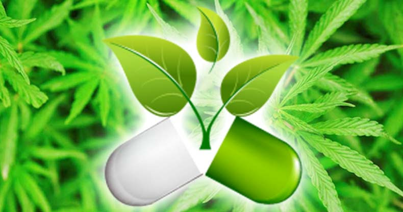 Image result for The Legal Cannabis Oil Capsule Is So Powerful It Can Replace Any Pain Killer