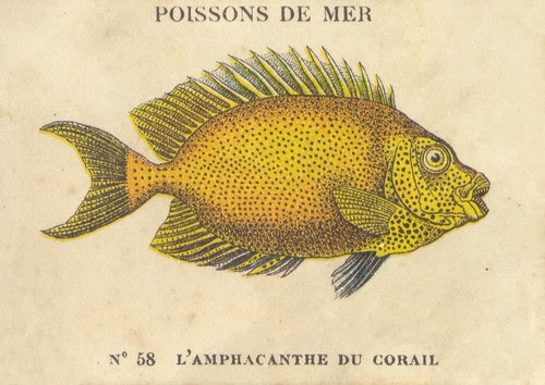 casino poissons 5