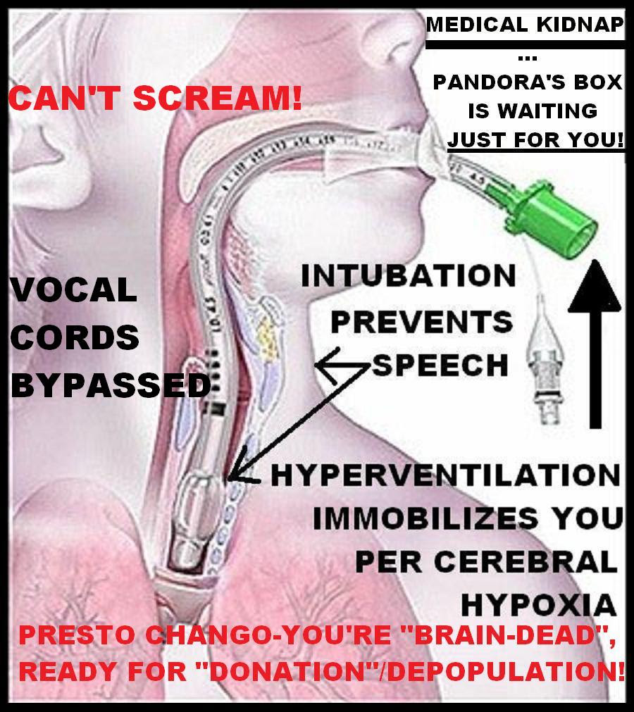 Quot Brain Death Quot Is Kidnap Medical Terrorism Murder Begins