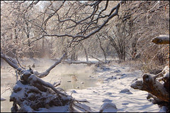 Steamy Winter Morning