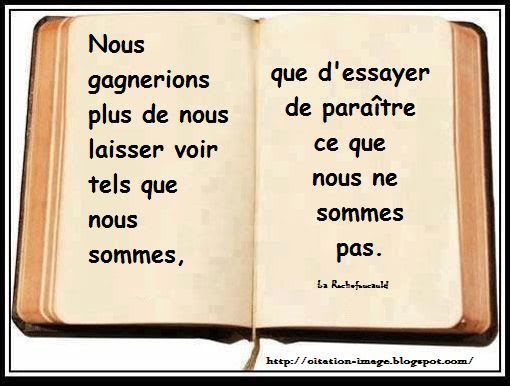 Ecrire Un Livre Et Si J Ecrivais Un Livre Y Parlerait De Quoi Le Jaseur