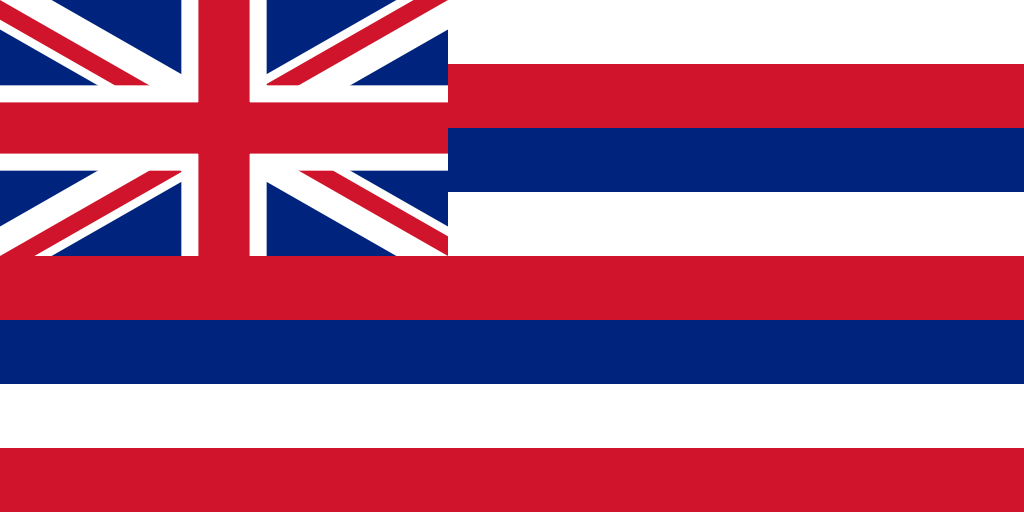 イギリスの国旗が付いているけど これはどこの国旗 ポジタリアン イエロー