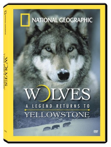 More information for save big products...:Wolves: A Legend Returns to Yellowstone