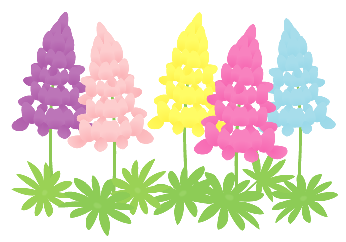ルピナスの花 かわいい無料のフリーイラスト素材集