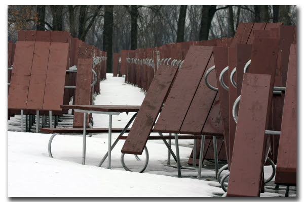 picnic tables in snow