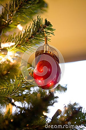 available aka callery pear