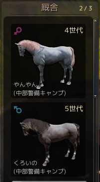 Non Regret 黒い砂漠 野生馬捕獲に関して