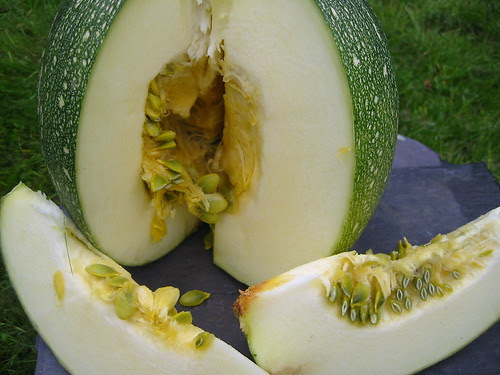 nuts