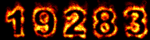 web page statistics