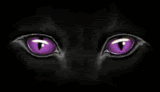 Changing Cat Eyes