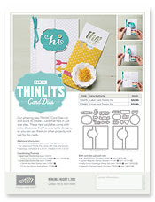 thinlits card dies, stampin up, dostamping, dawn olchefske, big shot, fun fold cards