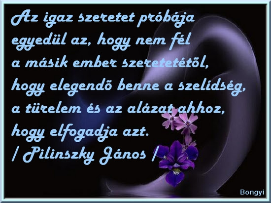 Vers Pilinszky Idezet Kep