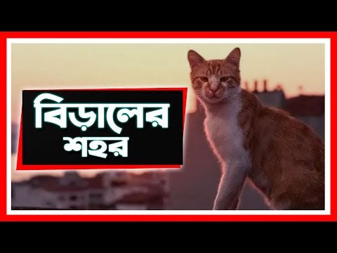 বিড়ালের শহর ।। অদ্ভুত এ শহরের ইতিহাস || Cat City Malaysia