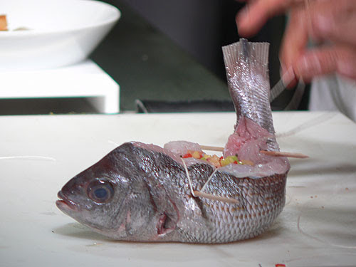 dorade en tricorne.jpg
