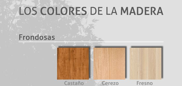 Infografia Los Colores De La Madera