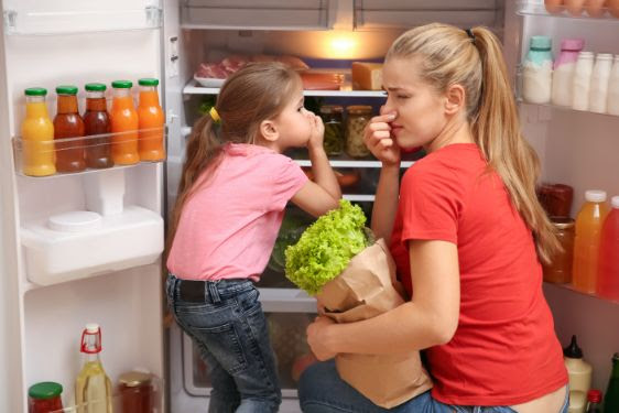 もやしから酸っぱい匂いが 消す方法はある 腐った時の特徴や食あたりの症状解説 お役立ち 季節の耳より情報局