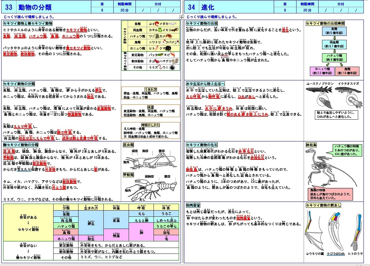 中学生用 その他の無料学習プリントファイル小学生用 国語の無料学習プリントファイル