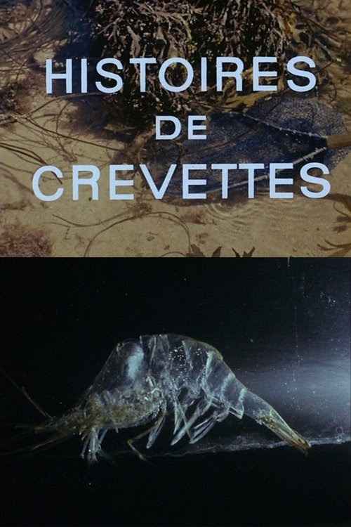 Histoires de crevettes Streaming Complet Vostfr 1964 En Ligne Regarder
Film Francais