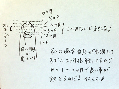 13 6 3 白い点 Vol 50 Delightgate