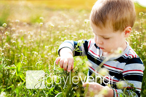 Field of Weeds 3