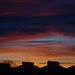 DSC01477
