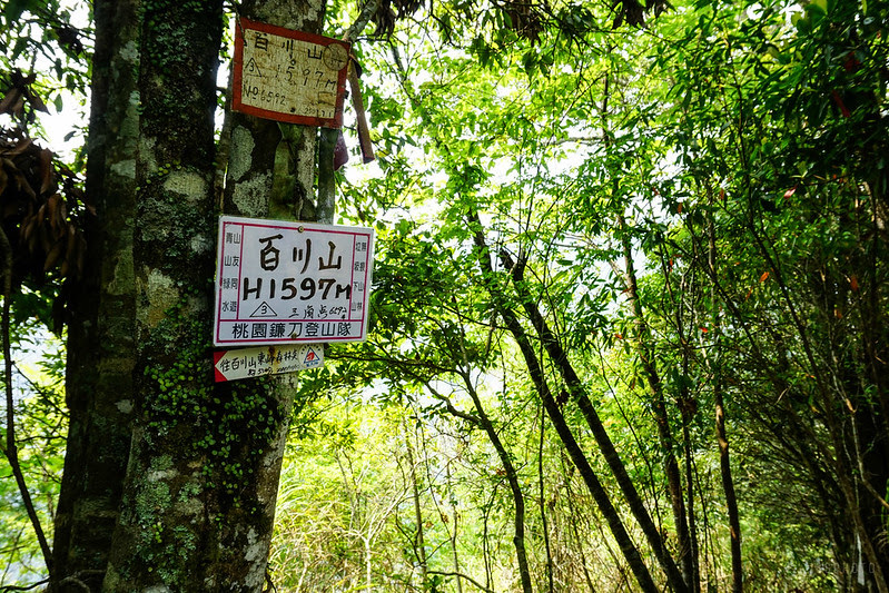 DSC09584