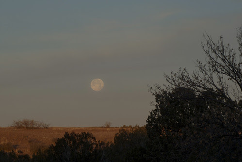 Bar Heart Moonset
