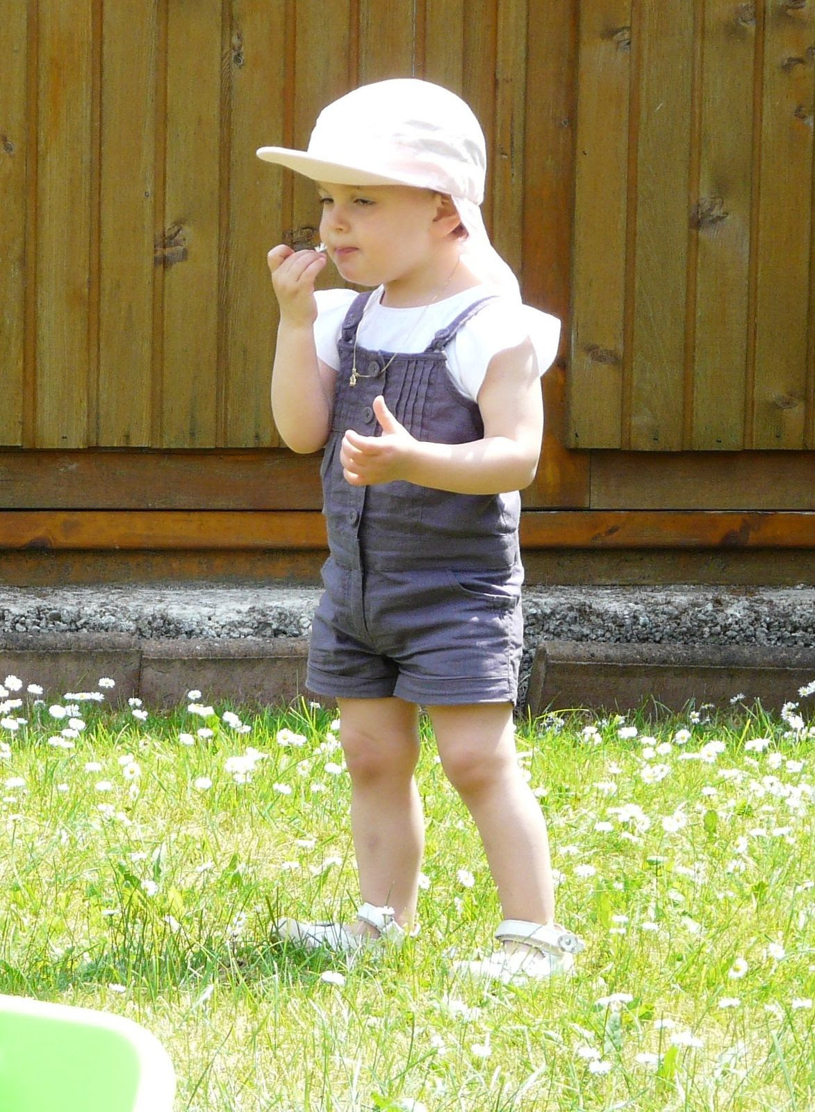 Joyeux Anniversaire Elise Eryn Lyla Elliot Bienvenue Sur La Planete Des Trois Chatons