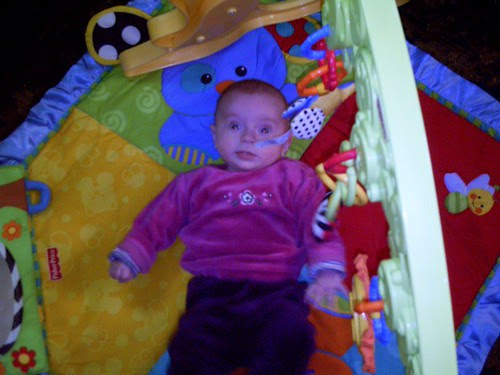 Play gym