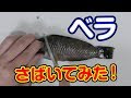 [最も好ましい] べら 食べ方 814643-ベラ 食べ方 youtube