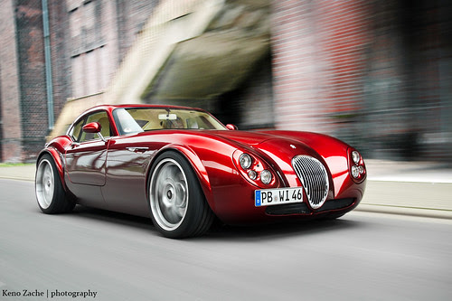 Red Lady