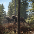 The Hunter Call Of The Wild - Jugar gratis a the Hunter: Call of the Wild el juego de ... - What is call of wild?