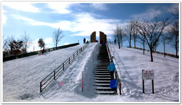 とことん遊ぶぞ 北海道 最強の寒気に負けず 函館昭和公園でソリ遊び