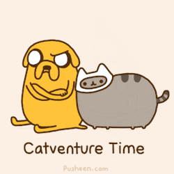 Pusheen Adventure Time