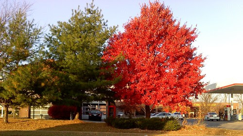 Lenexa