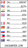 visitors by country counter