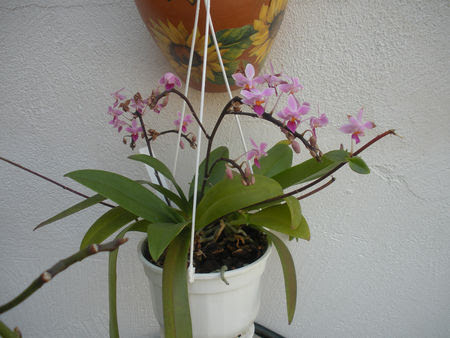 DSCN8927