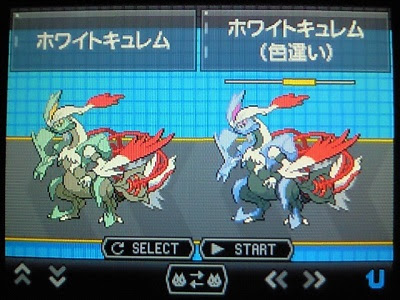 B2色違いキュレム お馬さんの足音