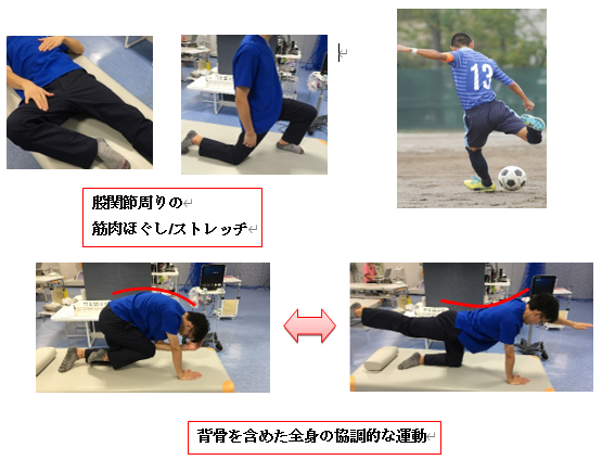 グローインペイン症候群 ぜんしん整形外科 立川スポーツリハビリクリニック