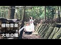 [最も欲しかった] 音楽 植物 135077-音楽 植物