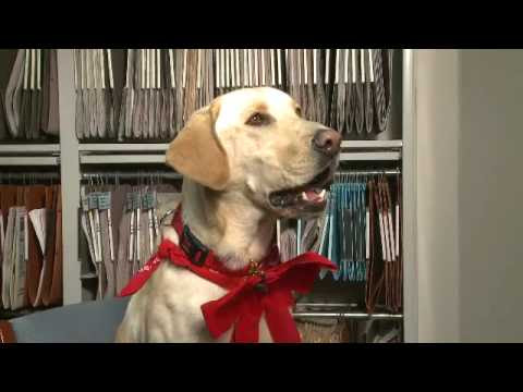 marley and me dog. Marley amp; Me Interview With