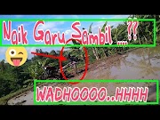 Komponen begini cara mengolah sawah pakai tractor traktor quick Dompeng G, paling dicari!