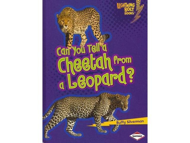 Can You Tell A Cheetah From A Leopard Lightning Bolt