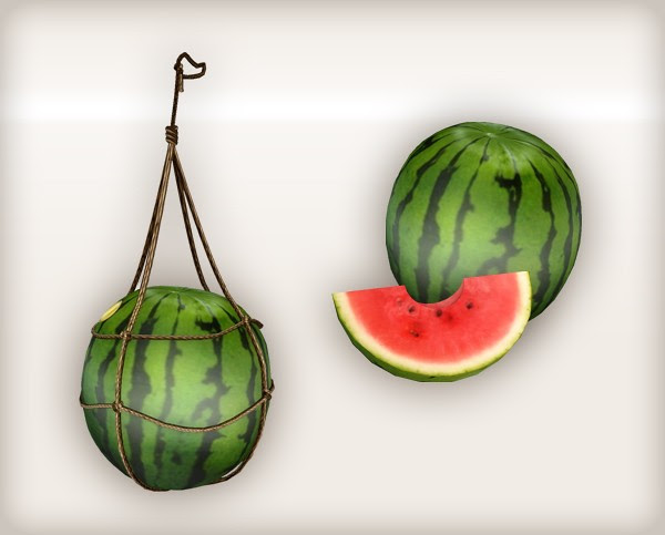 Watermelon gift 02