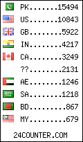 visitors by country counter