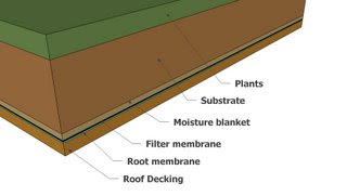 Return from Extensive Green Roof to the Shed Roof page